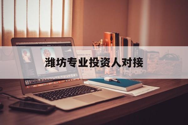 昭通市潍坊专业投资人对接(潍坊专业投资人对接中心)