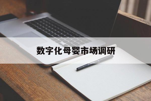 昭通市数字化母婴市场调研(数字化母婴市场调研报告)